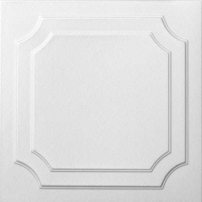 R 08 Styrofoam Ceiling Tile