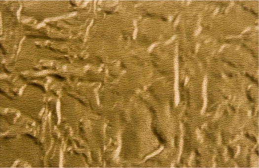 Larger hammered pattern wc40 faux tin backsplash in brass. Image taken of 6x4 swatch.