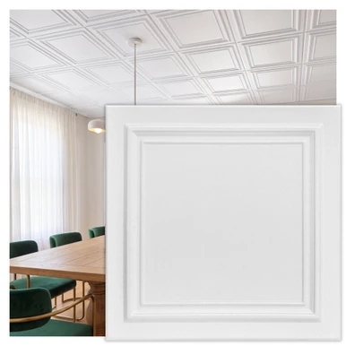 Line Art 20 in x 20 in Glue-up Styrofoam Ceiling Tile Pack - #R24
