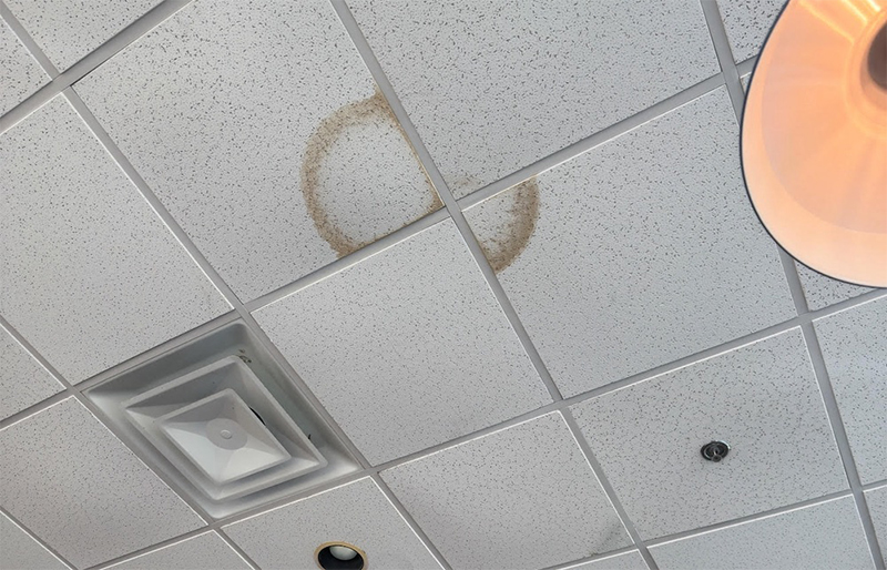 Stained Traditional Acoustic Ceiling Panels Stained Traditional Acoustic Ceiling Panels